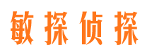 丰县市调查公司